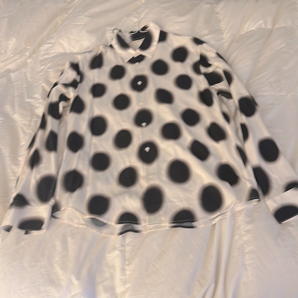 Sandro Viscose shirt